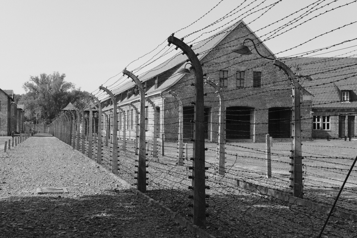 Tag 3, Auschwitz – Birkenau